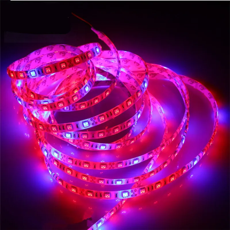 DC 12V LED Grow light Full Spectrum 5M LED Strip light 5050 Phyto Plant Growth lamps For Greenhouse Hydroponic Plant Growing led grow light grow light