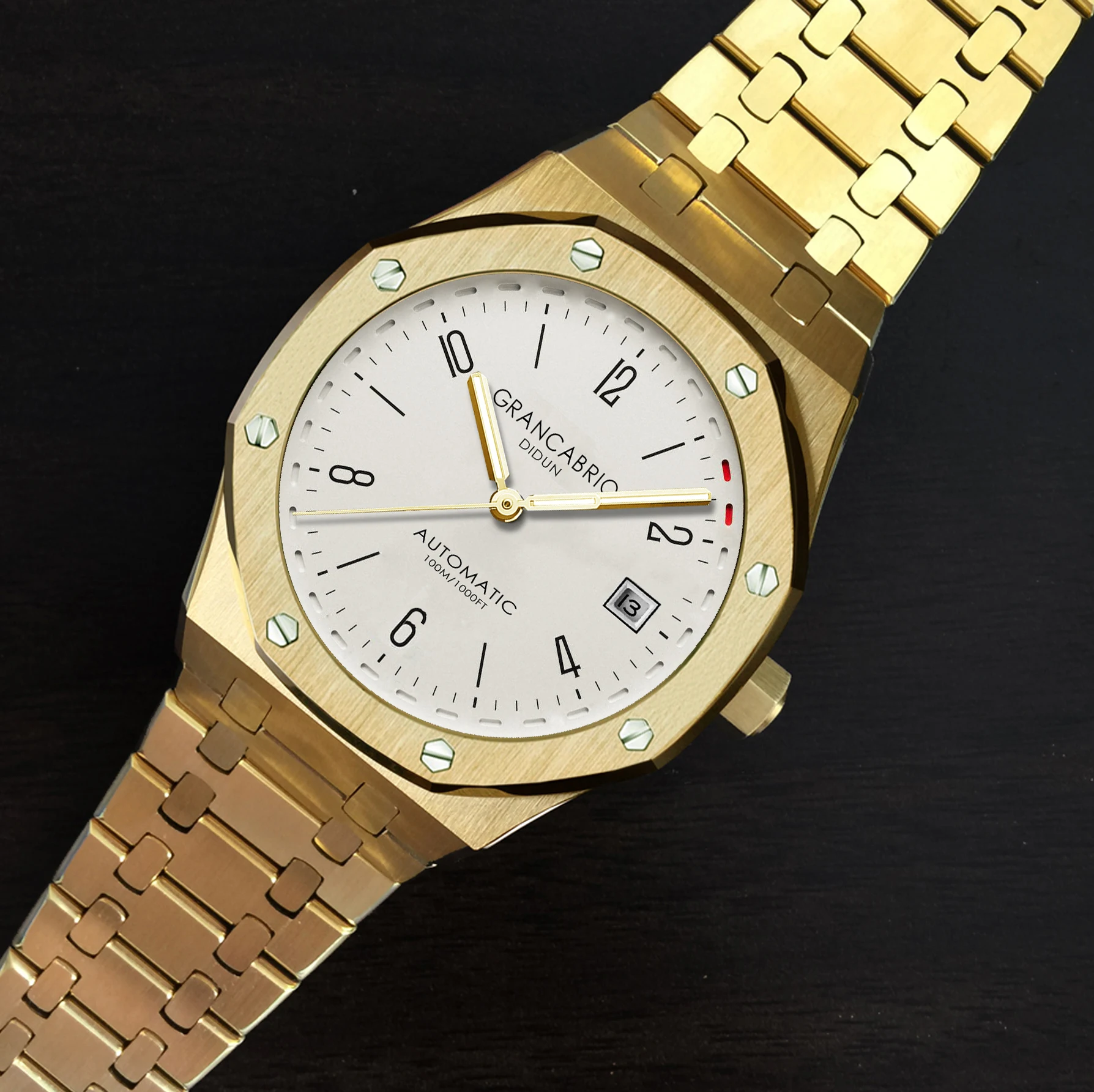 DIDUN ووتش الرجال أعلى العلامة التجارية الفاخرة التلقائي الميكانيكية ووتش العسكرية الأعمال الذكور ساعة اليد للماء 30 m ساعة اليد