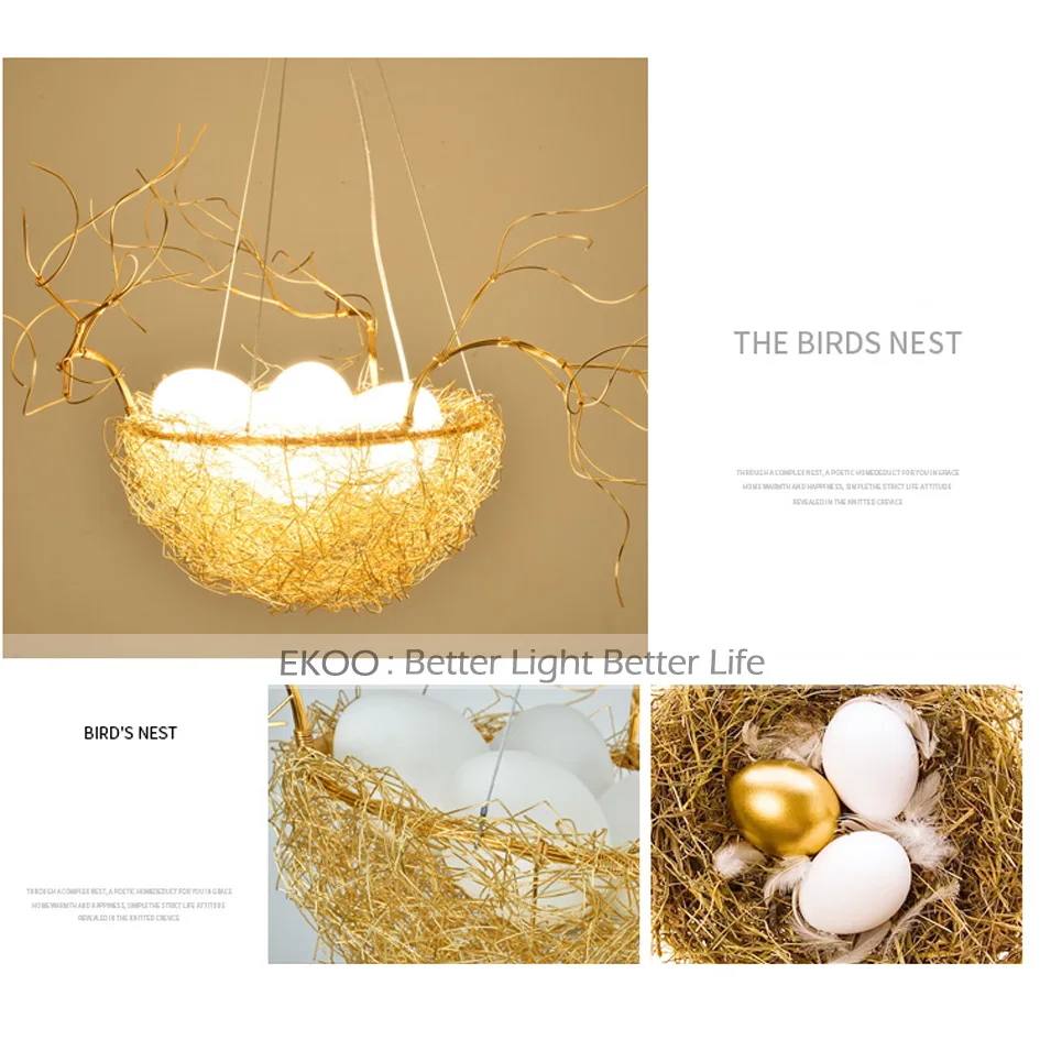 NEST-01