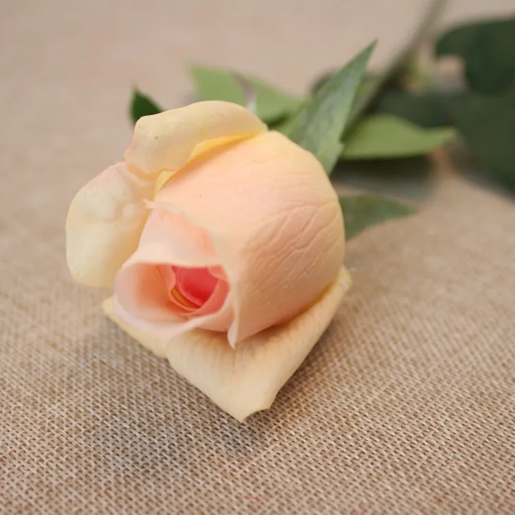 TB2TXiucVXXXXXoXXXXXXXXXXXX_!!2528354110