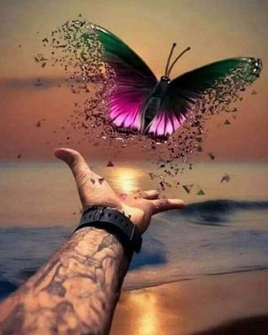 

DIY Diamond Painting Full Set The butterfly the palm of your hand Daimond Embroidery Sale Full Set Diamond Mosaic Full Square