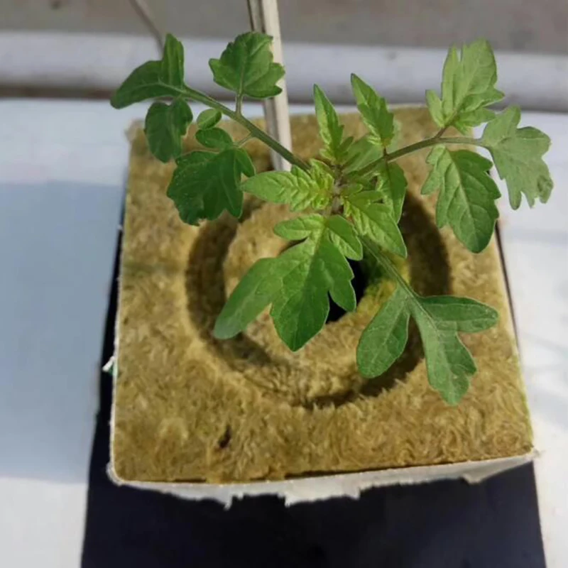 

Grodan Starter Plugs Cubes Grow Media Rockwool Hydroponic Cover