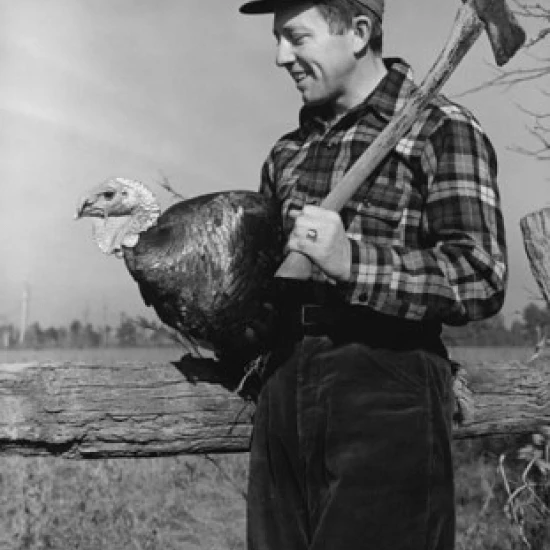 Side profile of a young man carrying a turkey and an axe Poster Print (18 x 24)