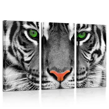 

3 Pieces Canvas Prints Wall Art Green Eyed Tiger Poster Animal Pictures Painting for Office Home Decorations