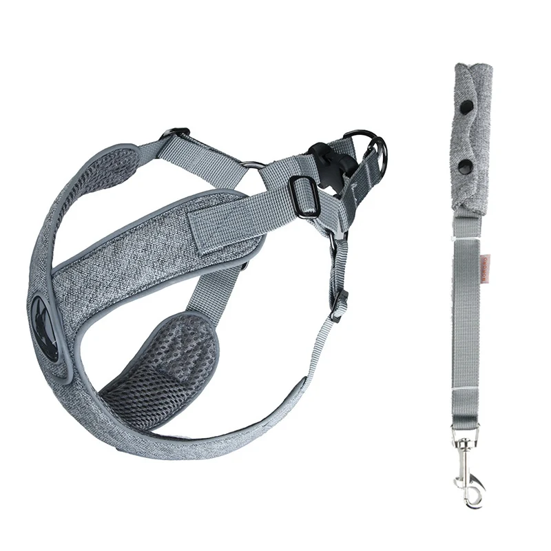 

Fashion Pet Dog Leash Harness Set Breathable Reflective Puppy Dog Sets for Small Dogs Yorkies Chihuahua Maltese Harnesses Leads