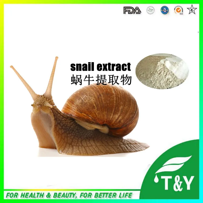 Raw snail secretion/Snail slime powder/snail extract Animal extract