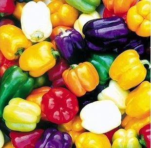 

5000pcs 6 Color mixed Yellow Puple Red Green Blue White Mix Sweet Bell Hot Pepper Bonsai plant vegetables Paprika