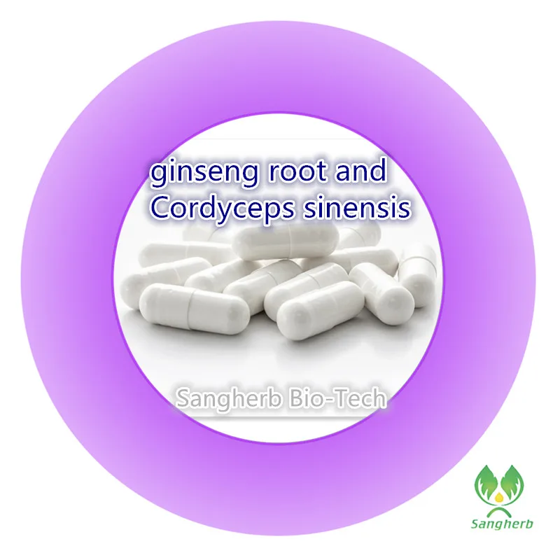 free shipping 100 pure natural 10 years Korea ginseng root extract and Cordyceps sinensis extract capsule
