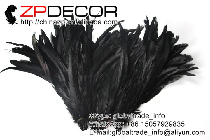 dyed rooster tail feathers (157)