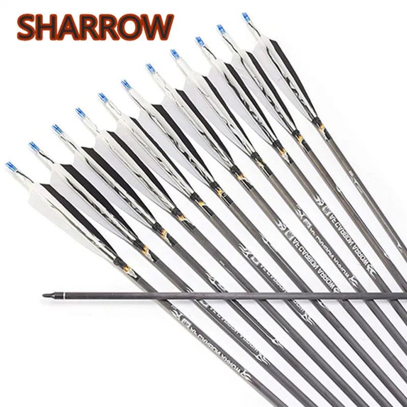 10Pcs 31" Archery Carbon Arrow Spine 500 Pure Carbon Arrows With Turkey Feather For Bow Outdoor Training Shooting Accessories