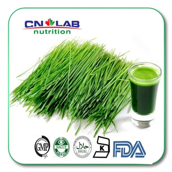 Free Shipping 1KG organic Alfalfa grass powder Lucerne Extract powder