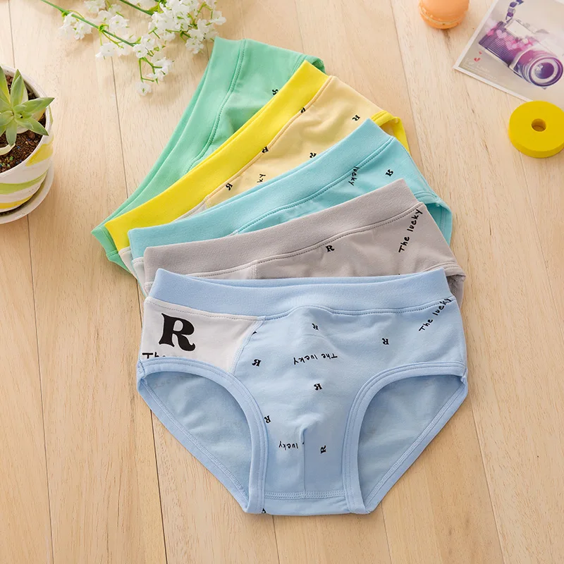 5 Pieces / Lot cartoon boys briefs kids Underwear Boy Organic Cotton Cartoon Shorts Briefs
