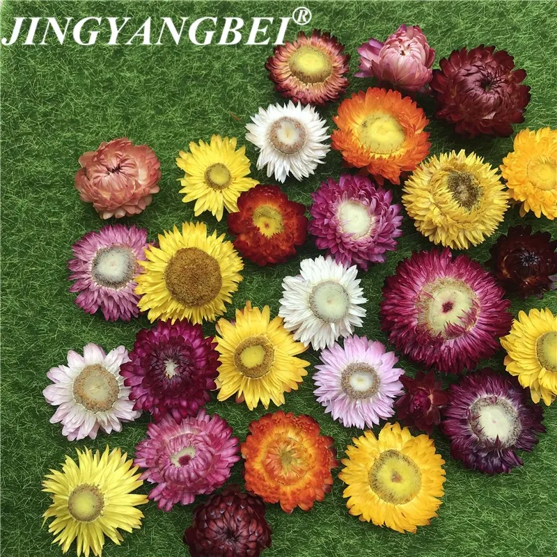 

50g&150g Natural Colorful Chrysanthemum dried Flower heads wedding flower centerpieces Dry flower Preserved Flower