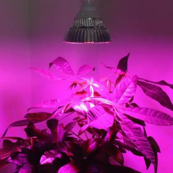 30 Вт/50 Вт/80 Вт полный спектр AC85-265V 5730SMD светодиодный светильник для выращивания растений и гидропоники для выращивания/цветения освещения E27