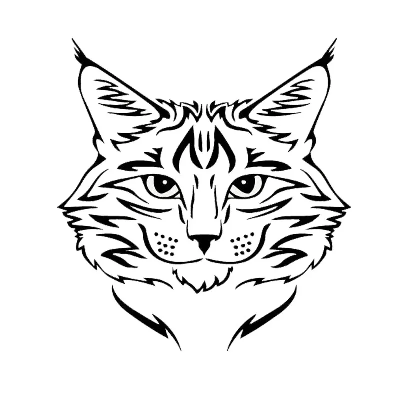 Us 119 40 Off1415cm Maine Coon Cat Breed Kitten Pet Animal Vinyl Decal Classic Cartoon Window Decoration Car Sticker C4 0592 In Car Stickers From