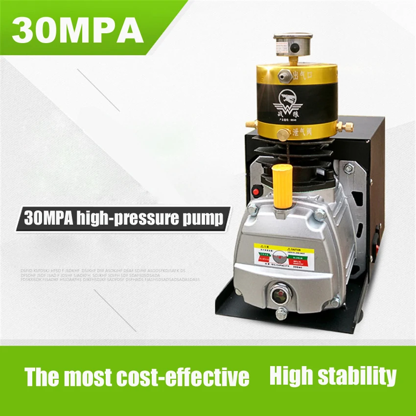 1 pcs / lot 30MPa air compressor  220 V 50Hz high-pressure air pump Electric cylinder 2800R/min High pressure air pump