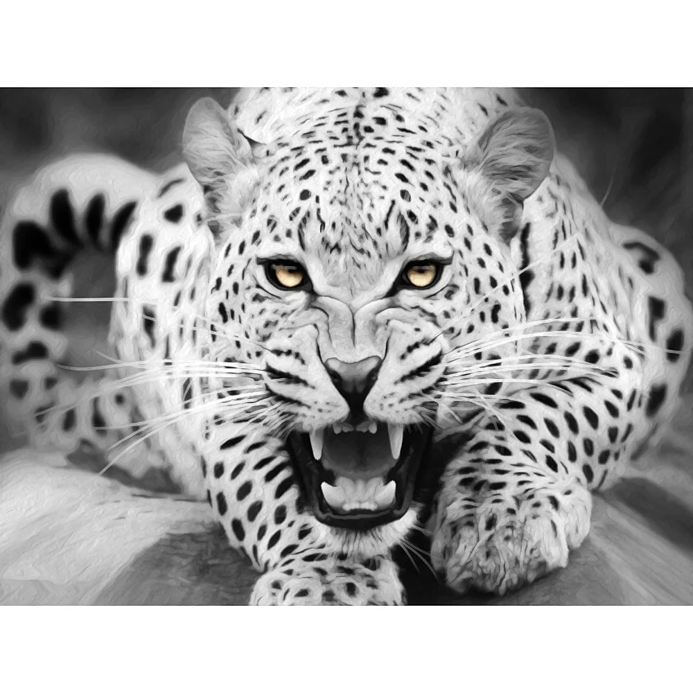 

Black & White Leopard Unframed Hand Painted By Numbers Oil Painting Home Decor