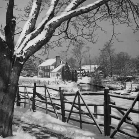 Snow covered houses in a village Poster Print (18 x 24)