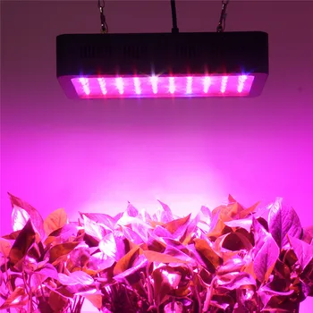

LED Grow Light 300W Full Spectrum Growing Lamp Indoor Hydroponic Greenhouse LED Plant All Stage Growth Lighting led grow lisht