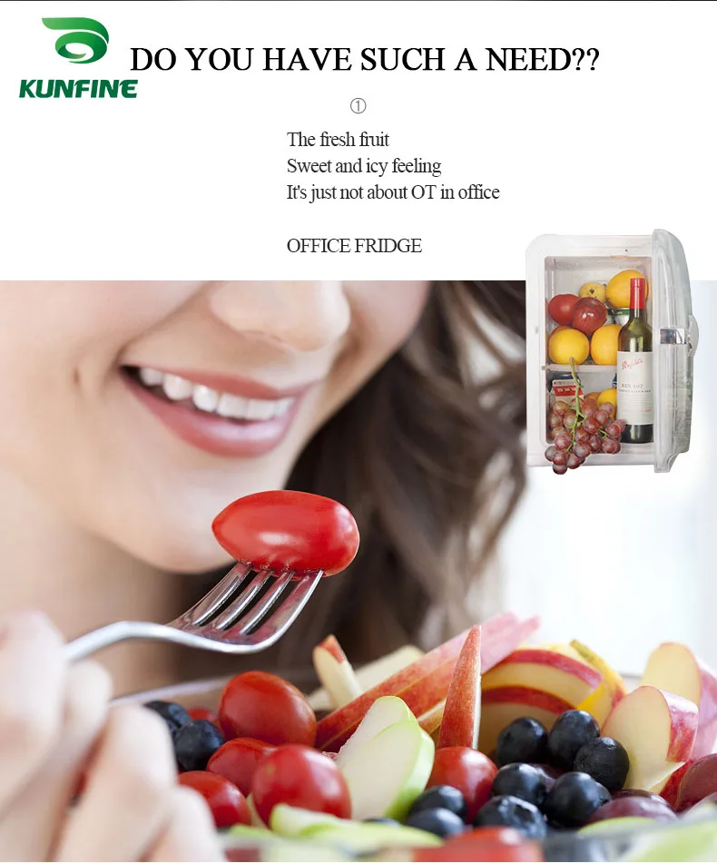 KUNFINE DC 12V24V 110-240V AC Car Refrigerator Multi-Function Fridge Compressor Vehicel Protable Refrigerator Freezer Cooler PN-15-1 (2)