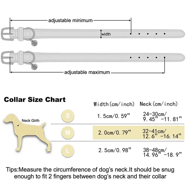 Dog Collar Size Chart By Breed