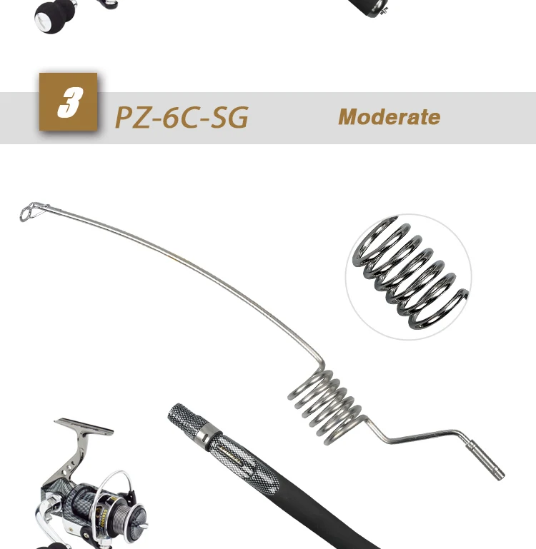PZ-SG_10