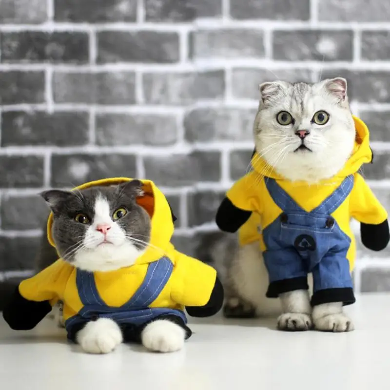 Маленькая собака Кот Косплэй одежда с милыми миньонами из мультфильма с капюшоном костюм для домашних животных Одежда для собак и кошек зима-осень теплое пальто