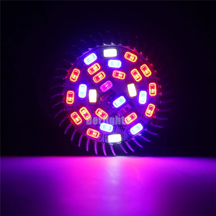 9824958795_291392640