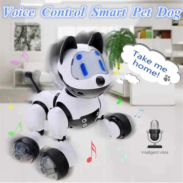 pet toy robot