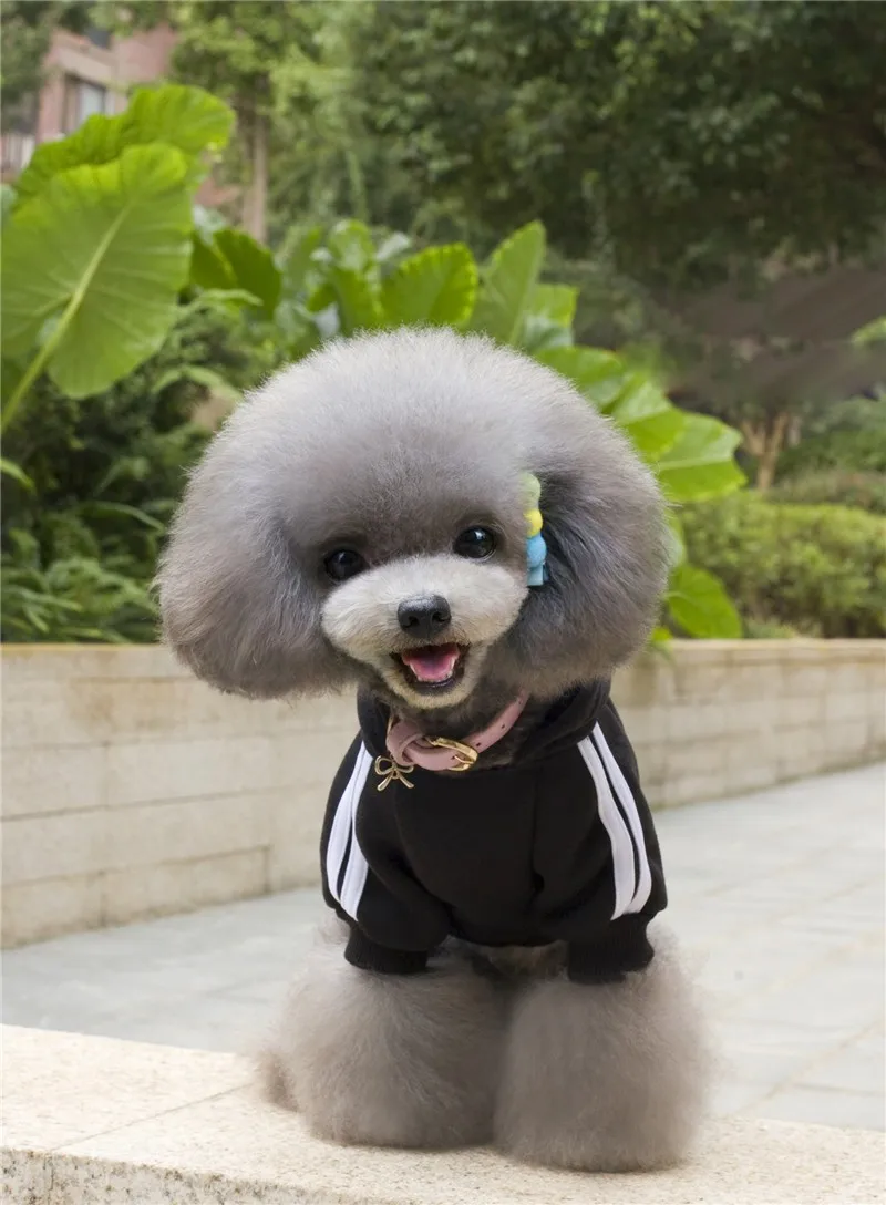 A10106