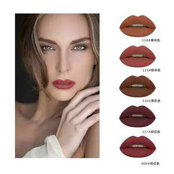 

Pudaier eat soil color lip gloss matte matte liquid lipstick non-stick cup lipstick colored suit pumpkin color nude color