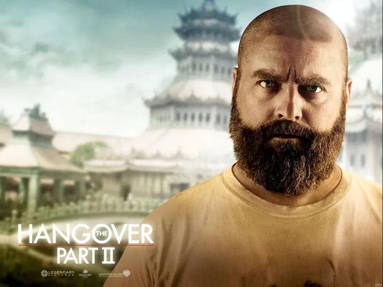 Zach Galifianakis Beard Hangover 2 Movie Art Huge Print Poster TXHOME