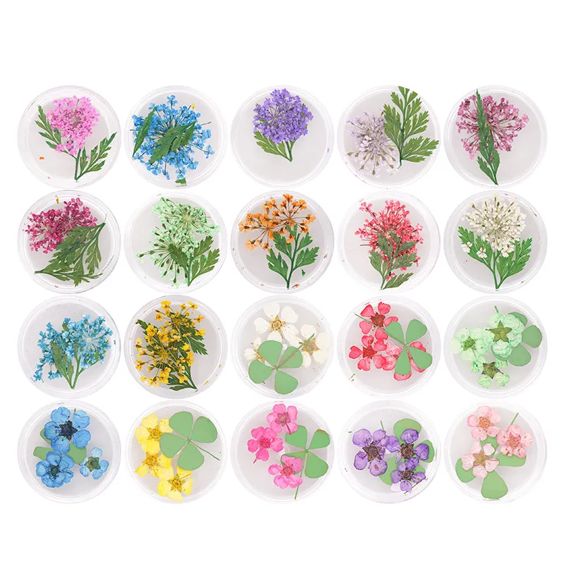 6 pots Real Natural Petal Dried Flower Nail Art Stickers ...