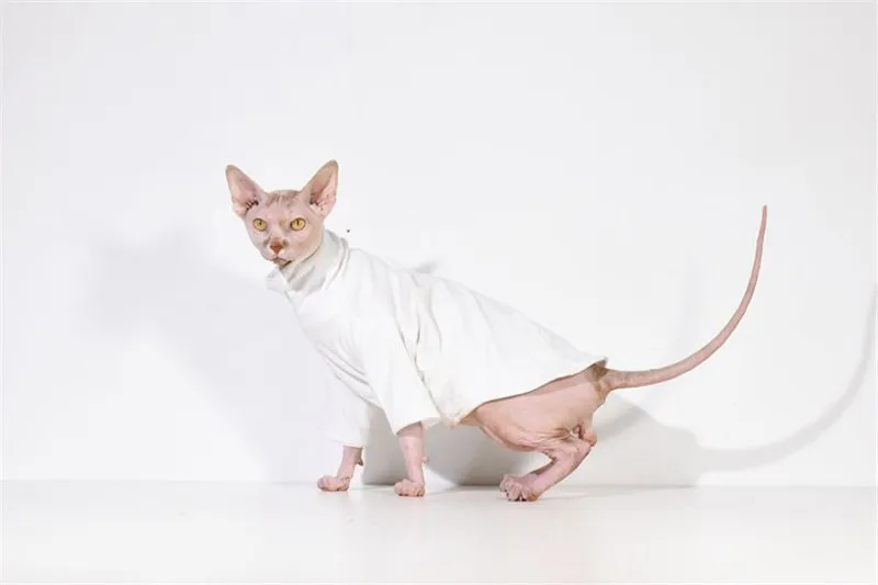 Hairless Sphinx/Одежда для кошек из чистого хлопка; толстовки для кошек с высоким воротником; облегающая блузка с длинным рукавом для осени и зимы; костюм кошки 20E