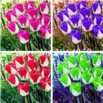 QQ20181218115519