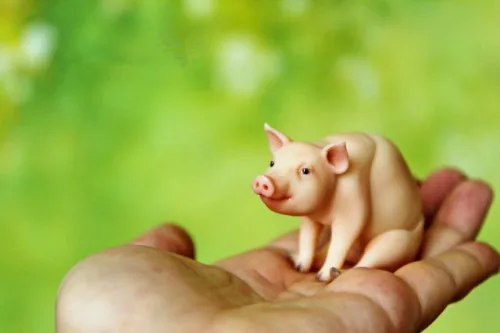 

SuDoll 1/12 BJD DOLL Piglets NO Make up Pig bare doll Without Makeup