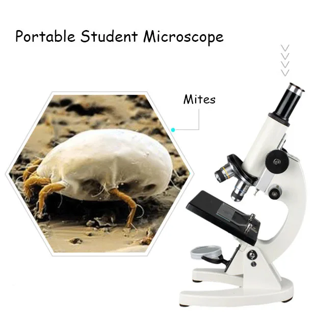

Professional Biological Microscope 40X-640X Students Educational Science Lab Monocular Microscope Metal Structure