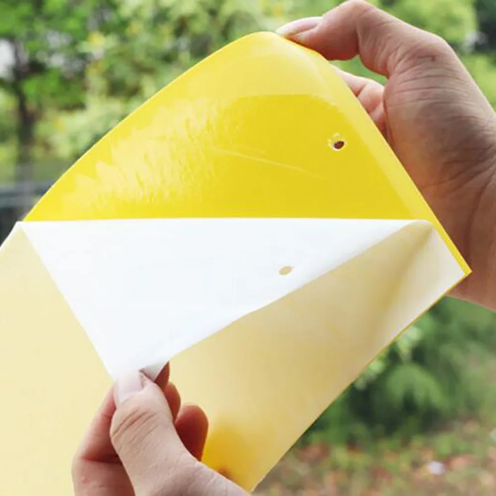 Strong Flies Traps Bugs Sticky Board Catching Aphid Insects Killer Pest