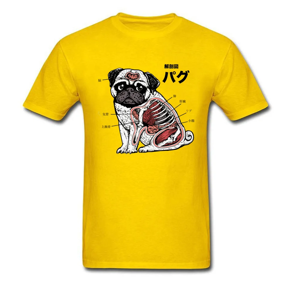 Funny Pug Anatomy Veterinarian_yellow