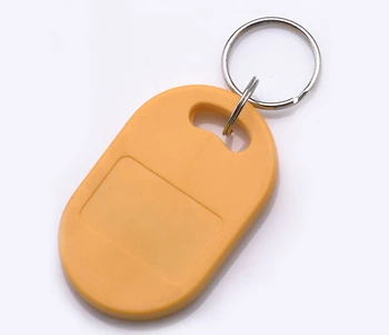 

100pcs 13.56Mhz frequency Access control card RFID Tag/IC Keychain/Proximity RFID Key Tag