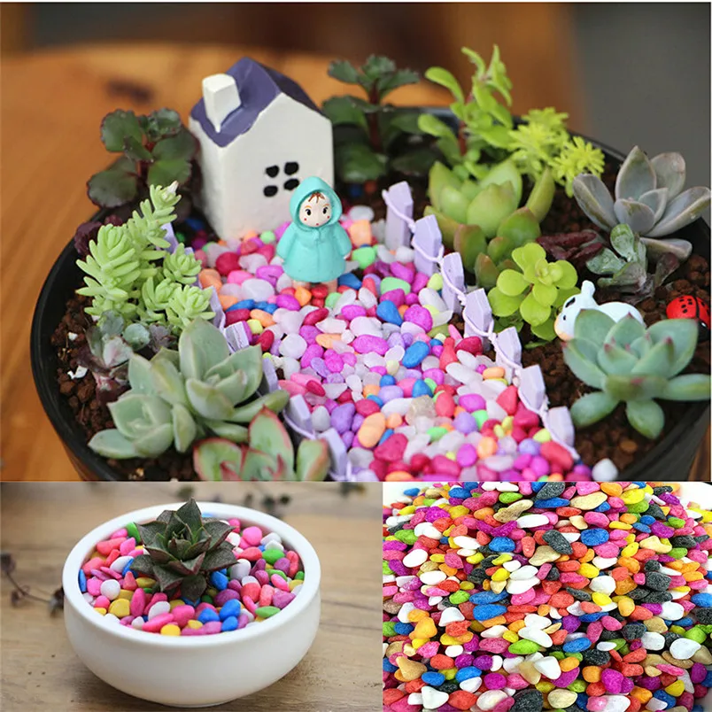 50G Juicy seeds Ass Seed Flower Living Stone Bonsai Natural Colorful Stone new home decor #3d05 (10)
