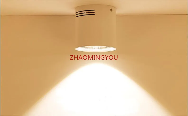 2020 Surface Mounted Dimmable COB LED Downlights 6W 9W 12W 20W 25W 30W LED Ceiling Lamps Spot Light Downlights AC85-265V