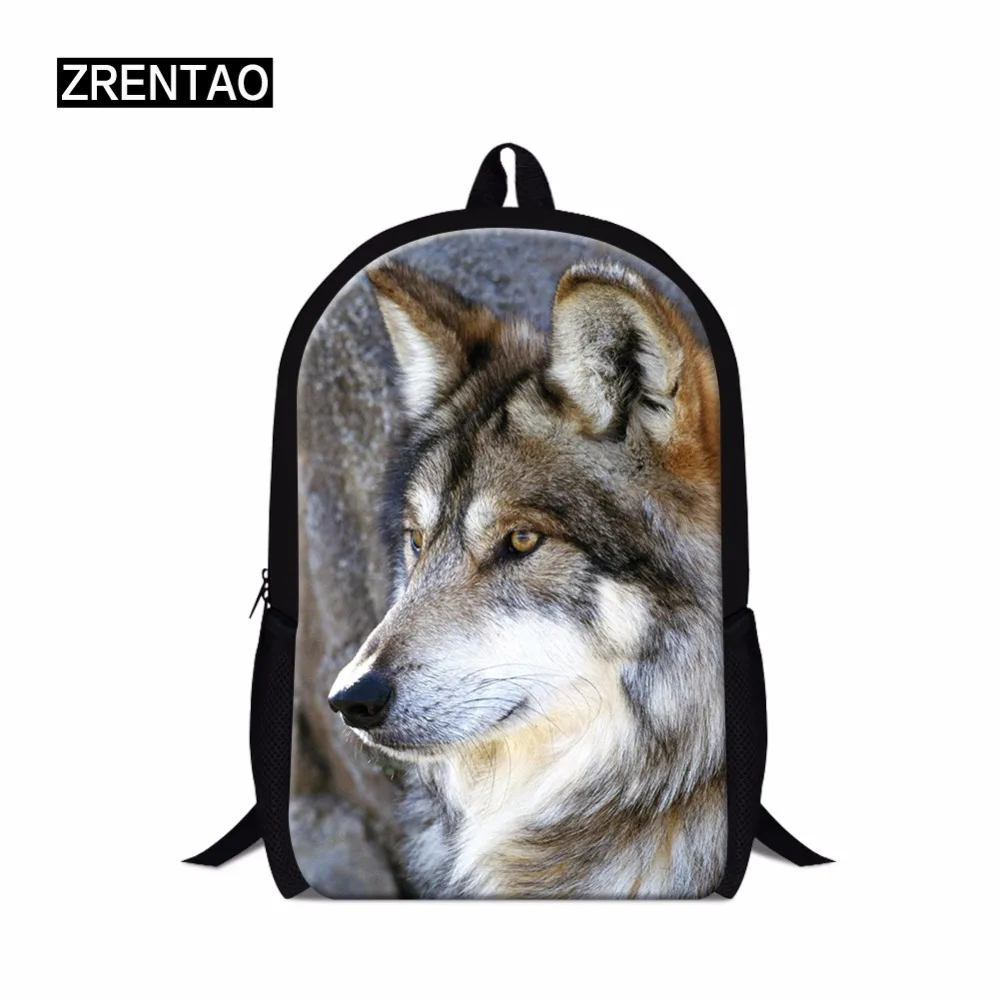 school knapsack  college