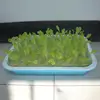 Garden Supplies