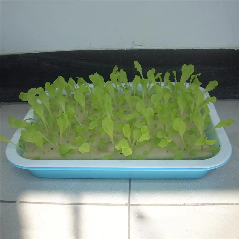 Square Sponge Soilless Hydroponics Garden Propagate Germination Container Planting Pot Bean sprouts Nursery Seedling Sponge Pot Square Sponge Soilless Hydroponics Garden Propagate Germination Container Planting Pot Bean sprouts Nursery Seedling Sponge Pot