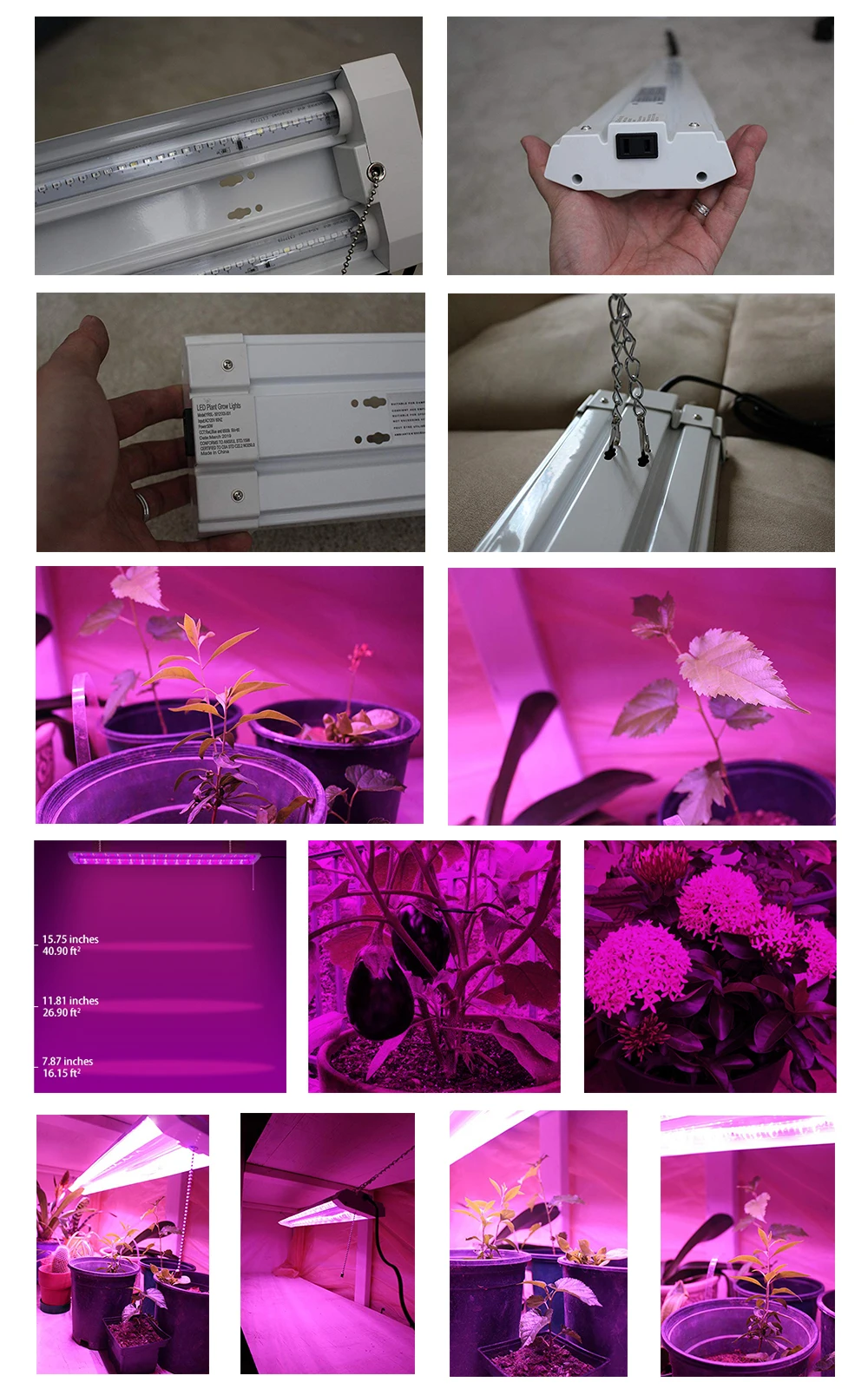 50W(300W Equivalent) LED Grow Light Full Spectrum Plant LED Grow Tent Seedling Lamp Growing Lighting for Flower Pendant Lights1