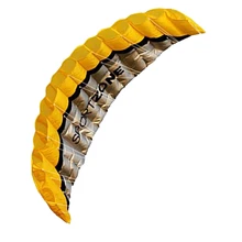 Новинка, высокое качество, 2,5 м, желтый, двойная линия, парафойл, воздушный змей с летающими инструментами, мощная оплетка, Парусный кайтсерф, Радужный, спортивный, пляжный