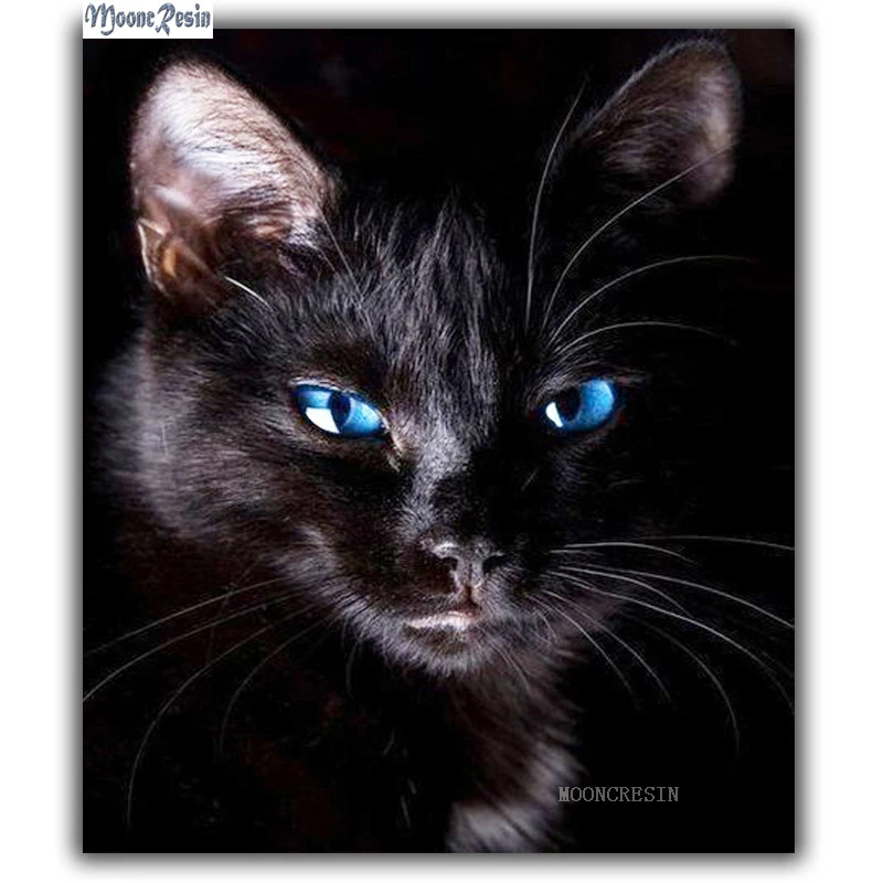 5d Diyのダイヤモンド塗装クロスステッチ青目の黒猫針仕事ダイヤモンド刺繍フルラウンドモザイク装飾樹脂 Painting Cross Stitch Diamond Painting Cross Stitch5d Diy Aliexpress 5d Diyのダイヤモンド塗装クロスステッチ青目の黒猫針仕事ダイヤモンド刺繍フルラウンドモザイク装飾樹脂 Painting Cross Stitch Diamond Painting Cross Stitch5d Diy Aliexpress