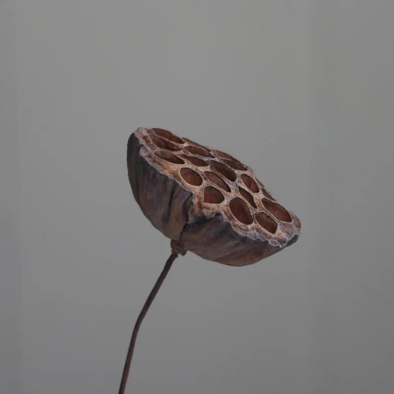 Натуральный сухой Лотос декоративный цветок аранжирование сушеный цветок имитация цветов для дома украшения диких ветвей лотоса