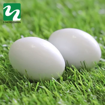 

5 Simulated Hollow Bird Eggs Hatching Eggs Hens Poultry Hatching Breeding Fake Plastic Artificial DIY Painting Educational Toys